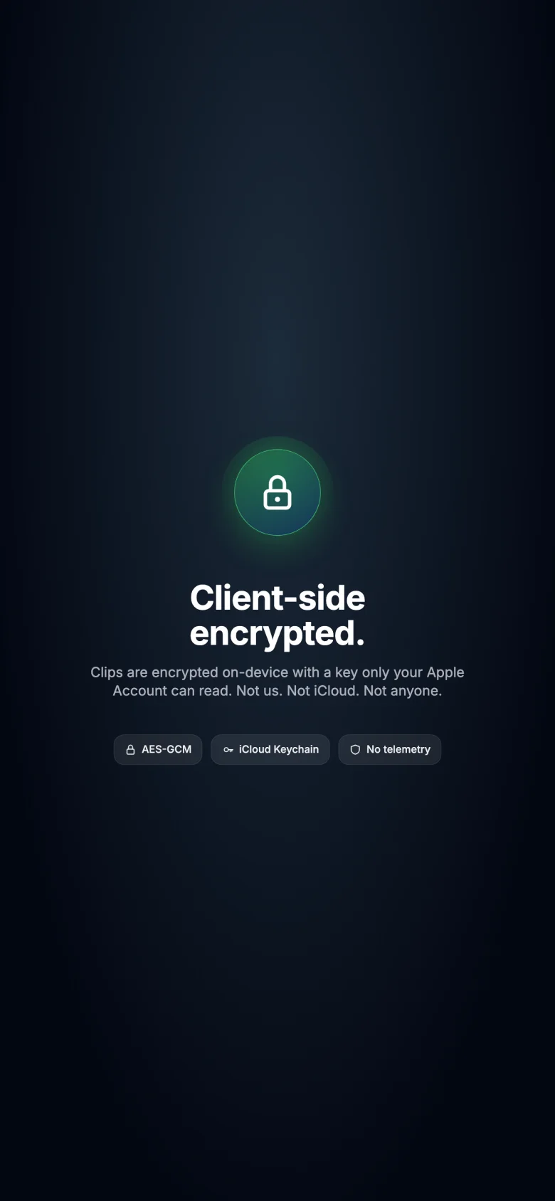 TurboClipboard iPhone privacy and intelligence settings